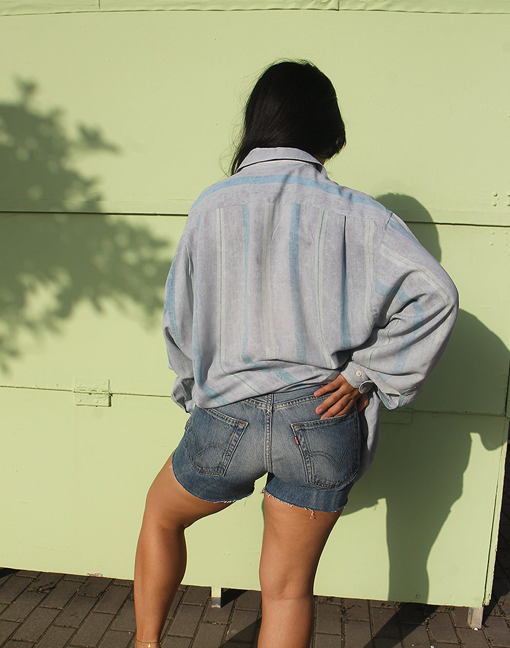 Blue Striped Shirt