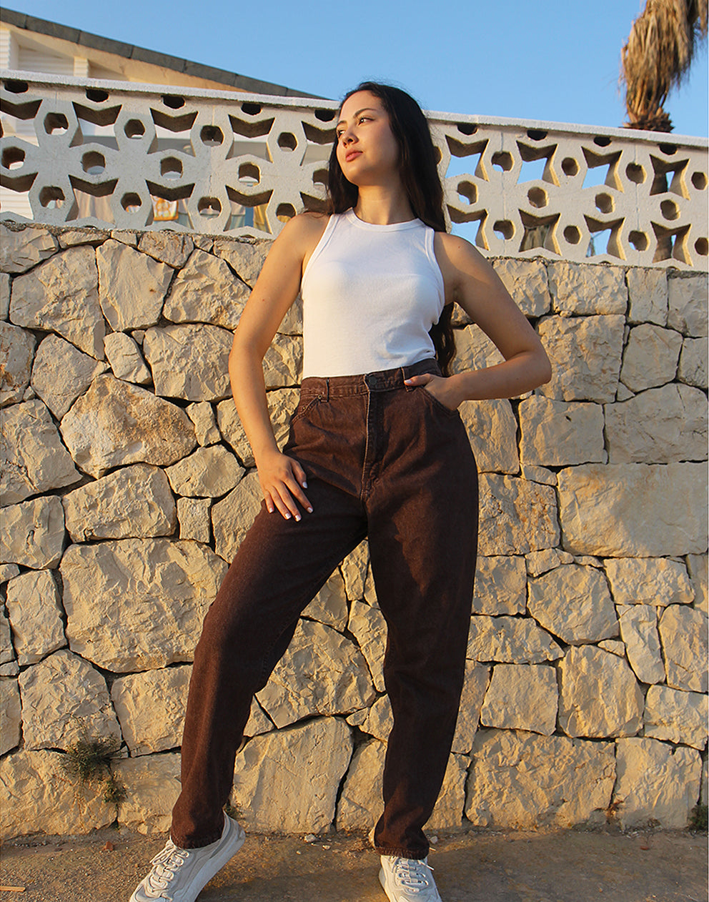 Mom Jeans in Brown