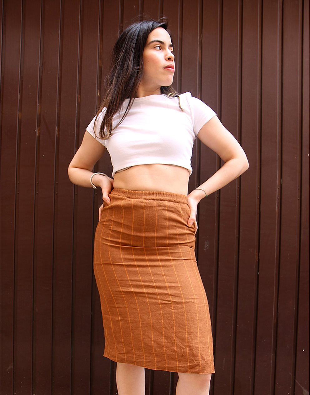 Brown pinstripe 2024 pencil skirt