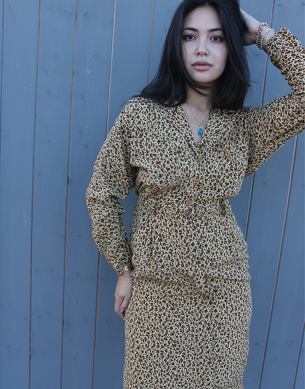Leopard Print Dress