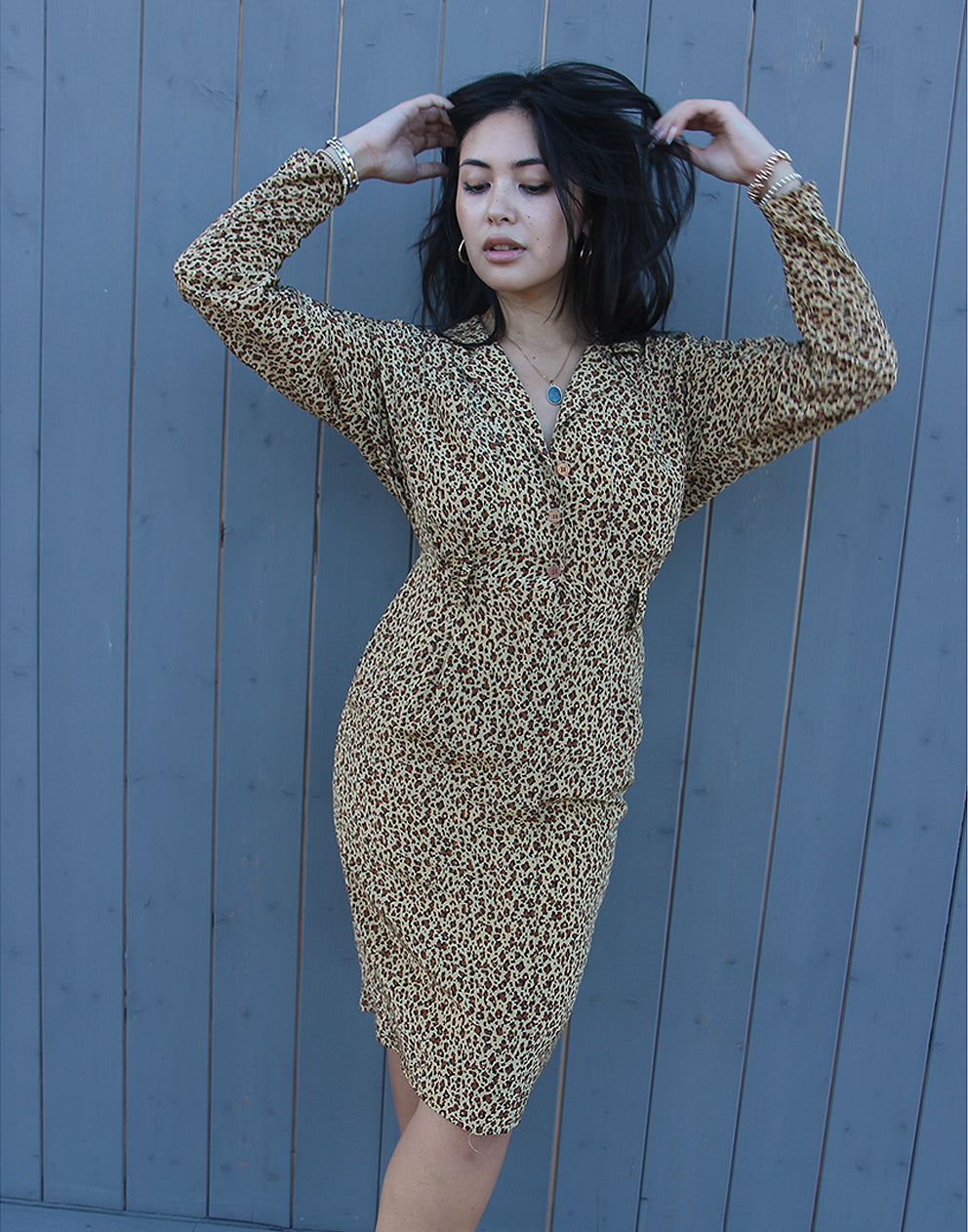 Leopard Print Dress