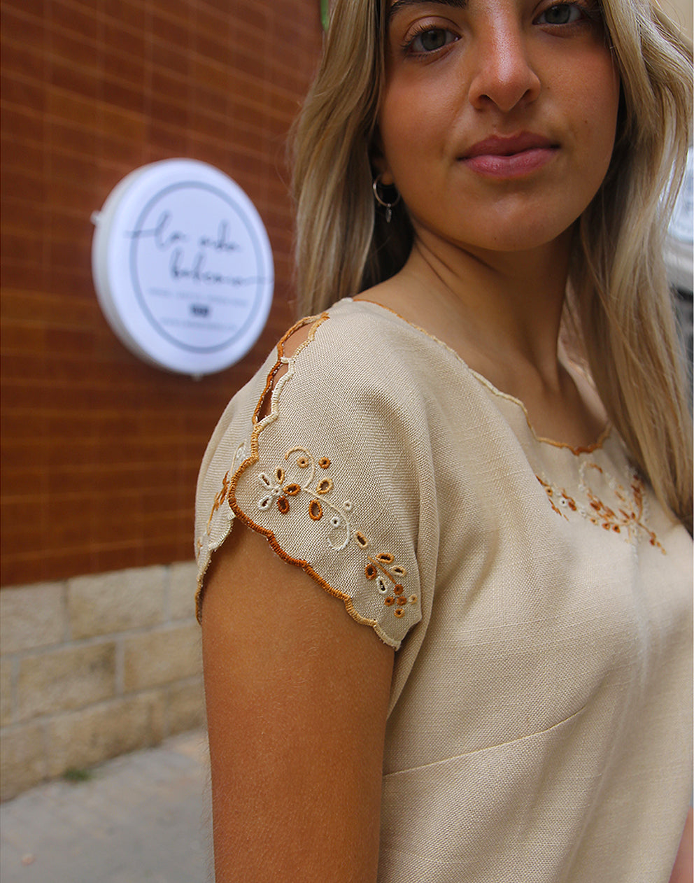 Boho Embroidered Dress in Brown
