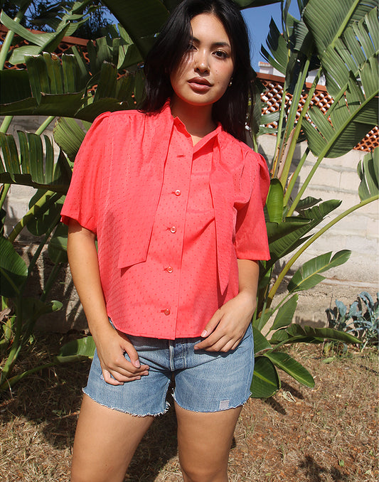 Pink Blouse