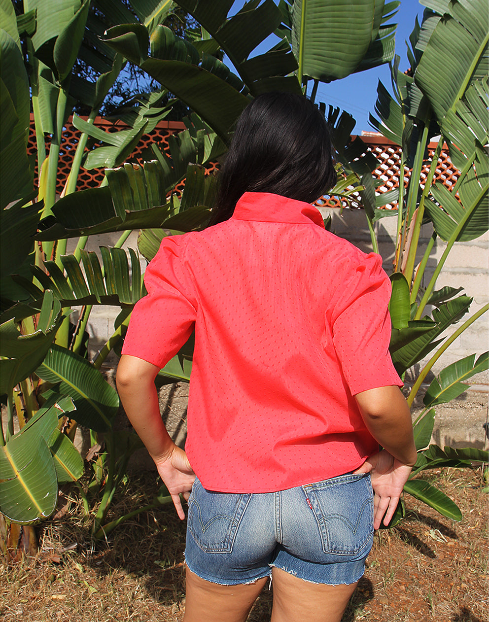 Pink Blouse