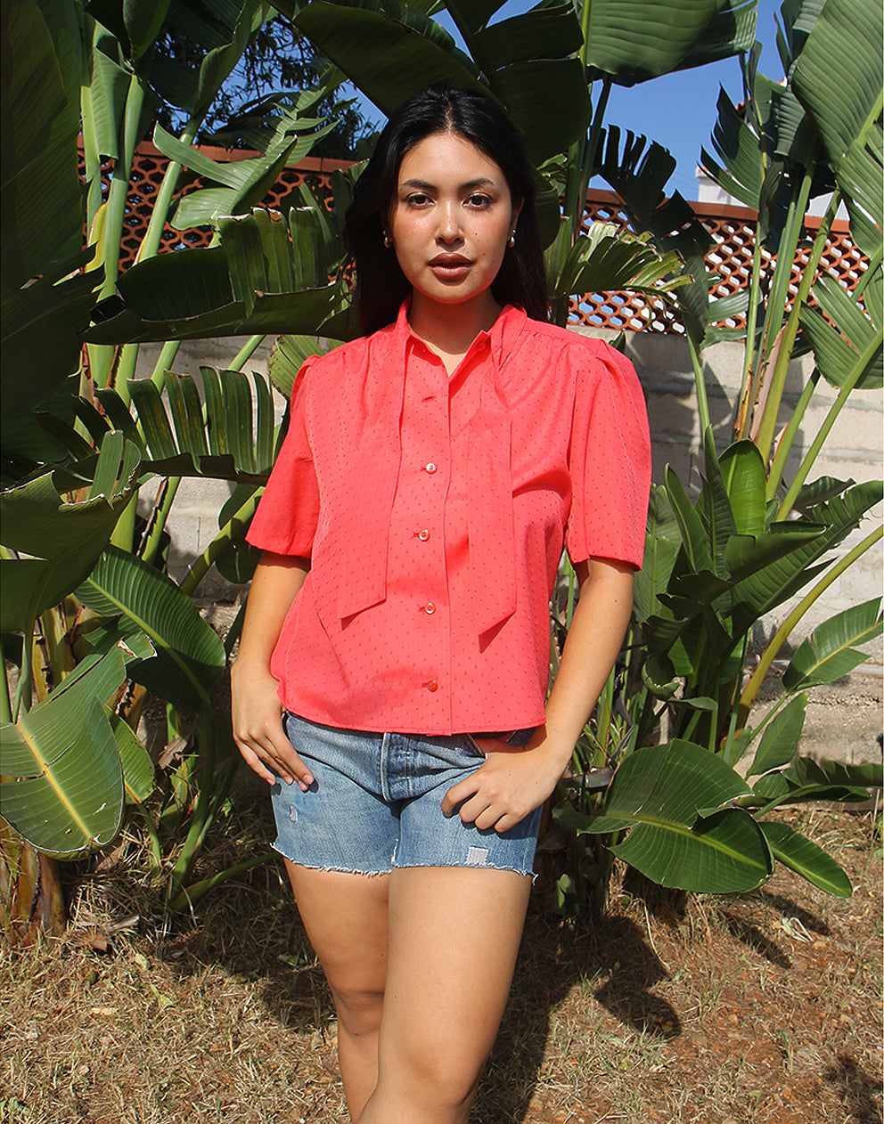 Pink Blouse