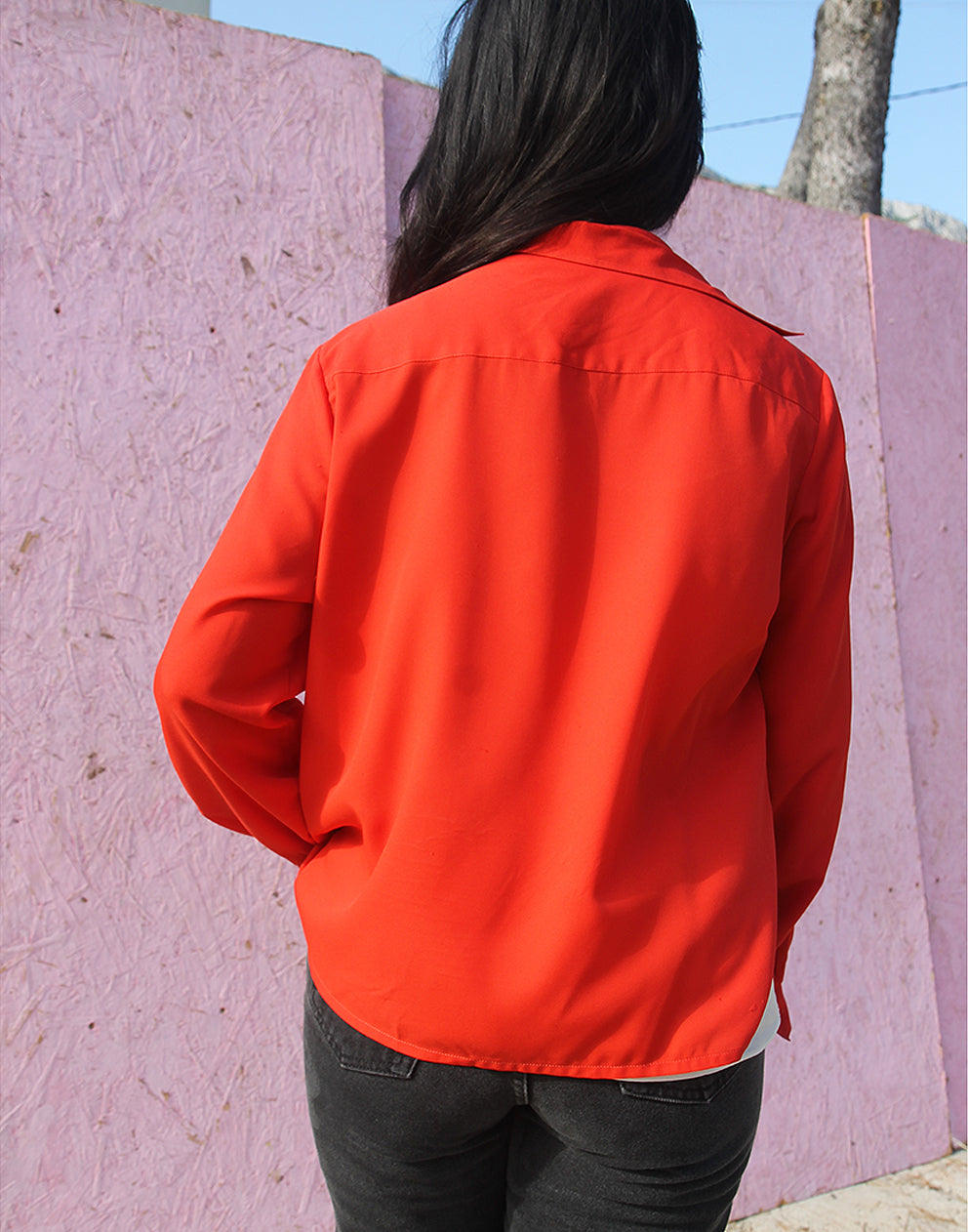 Red Blouse