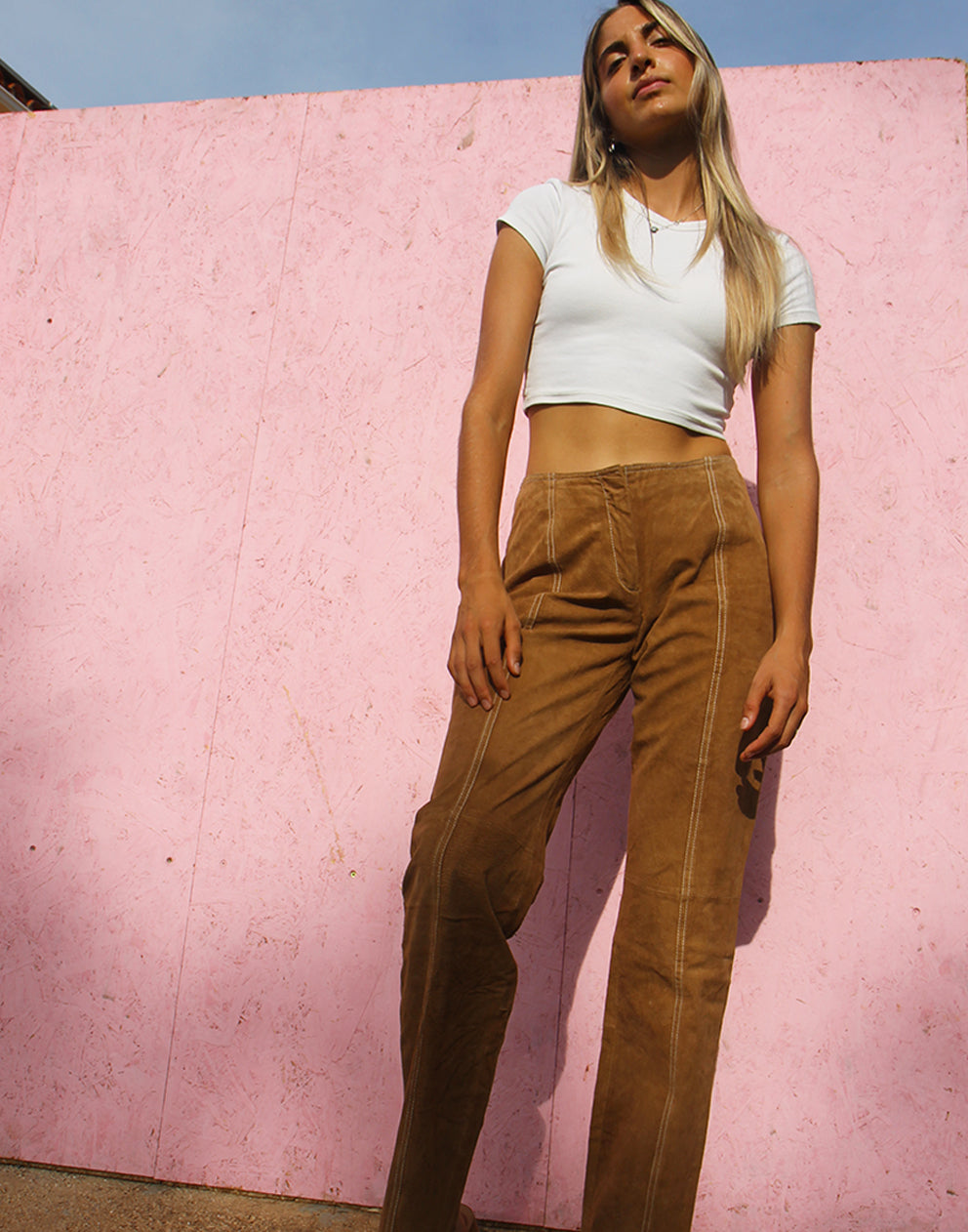 Suede Trousers in Brown