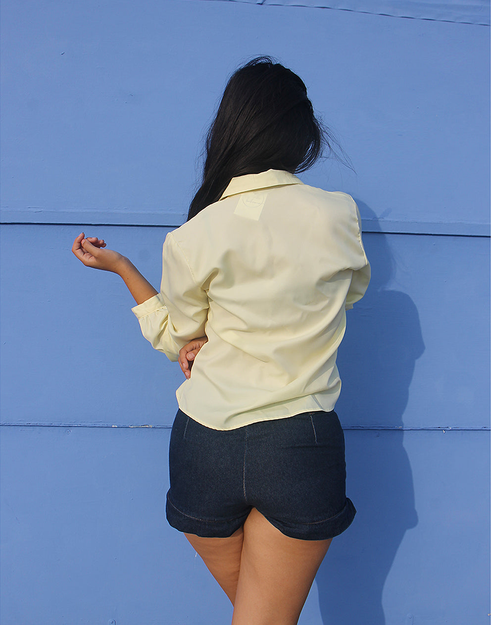 Pale Yellow Blouse